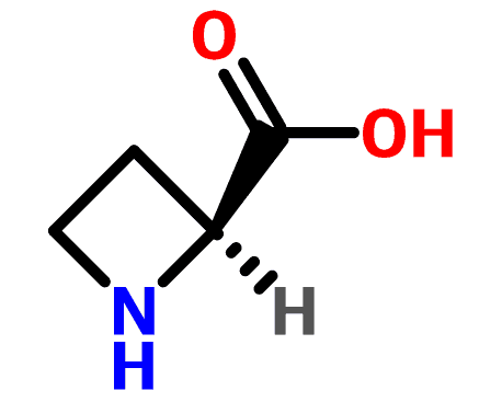 L-Azetidine 2-carboxylic acid